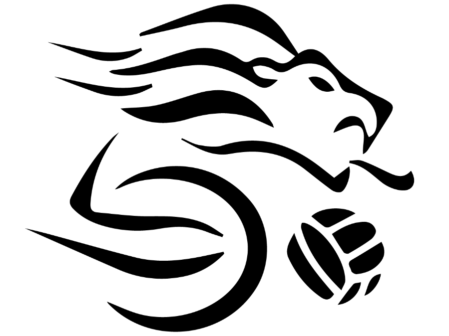GameInsights logo